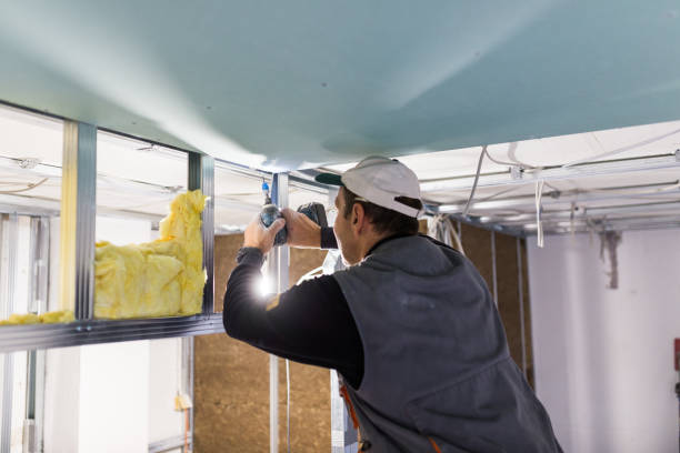 Best Wall Insulation Contractor  in Franklin, NC