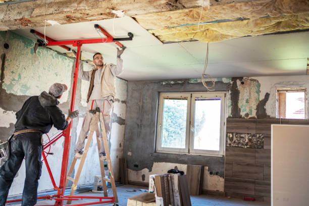 Best Spray Foam Insulation  in Franklin, NC
