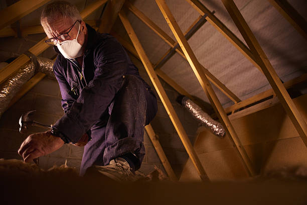 Best Insulation Repair Services  in Franklin, NC
